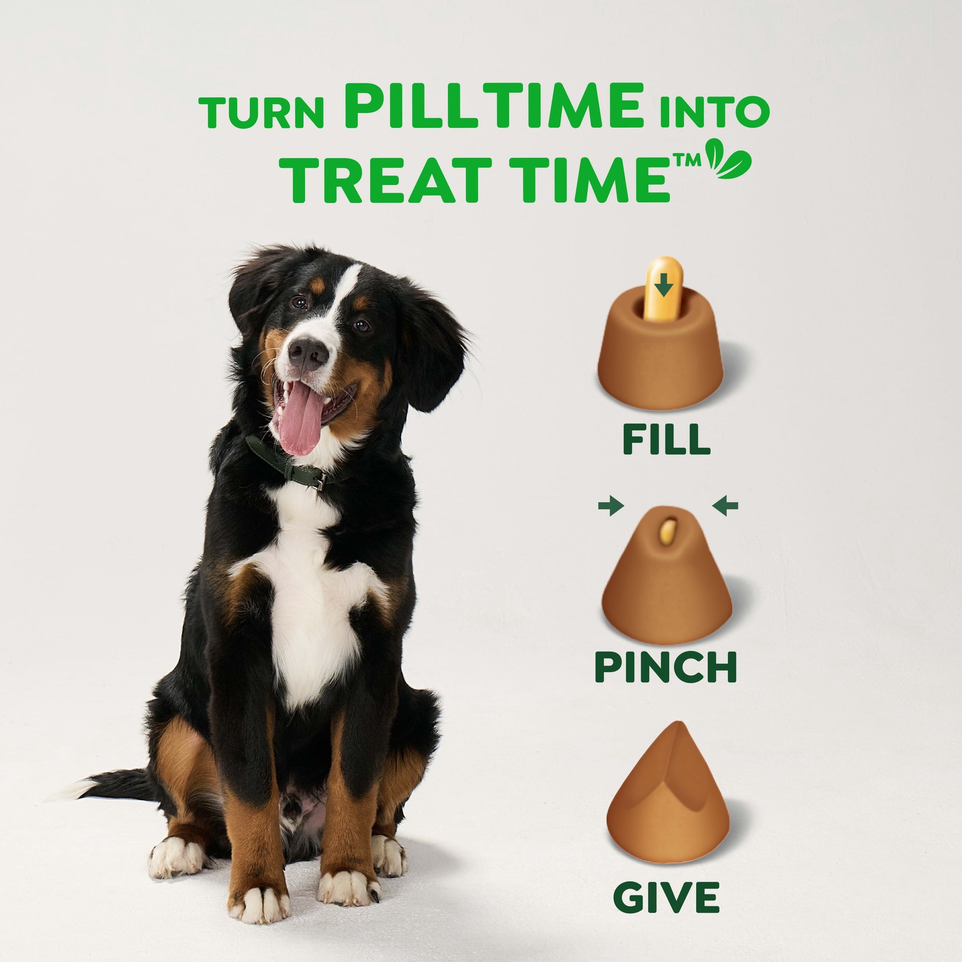 Pill Pockets for Dogs Chicken Flavor Large, Capsule Size Soft Dog Treats, 15.8 Oz, (60 Pk)