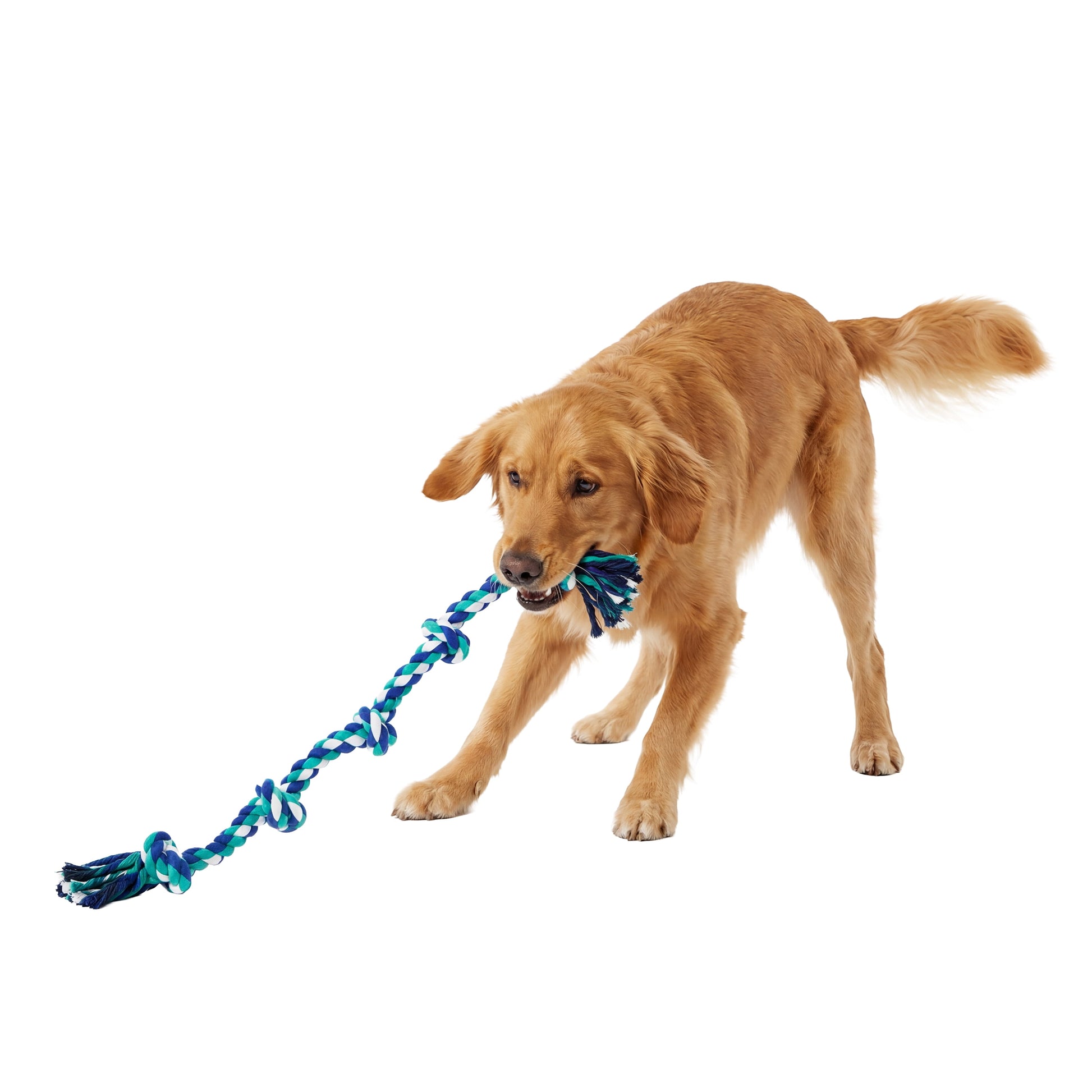 Flossy Chews Cottonblend 5 Knot Tug Rope Dog Toy, Super XL, 72", Assorted Colors